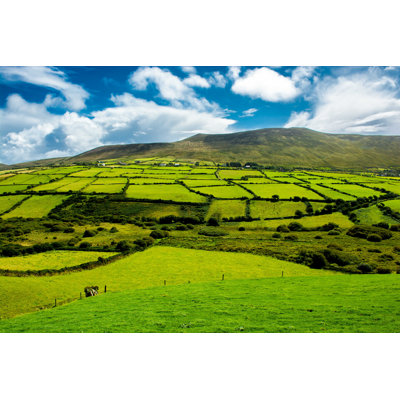 Pastures In Ireland - Photographie sur toile tendue