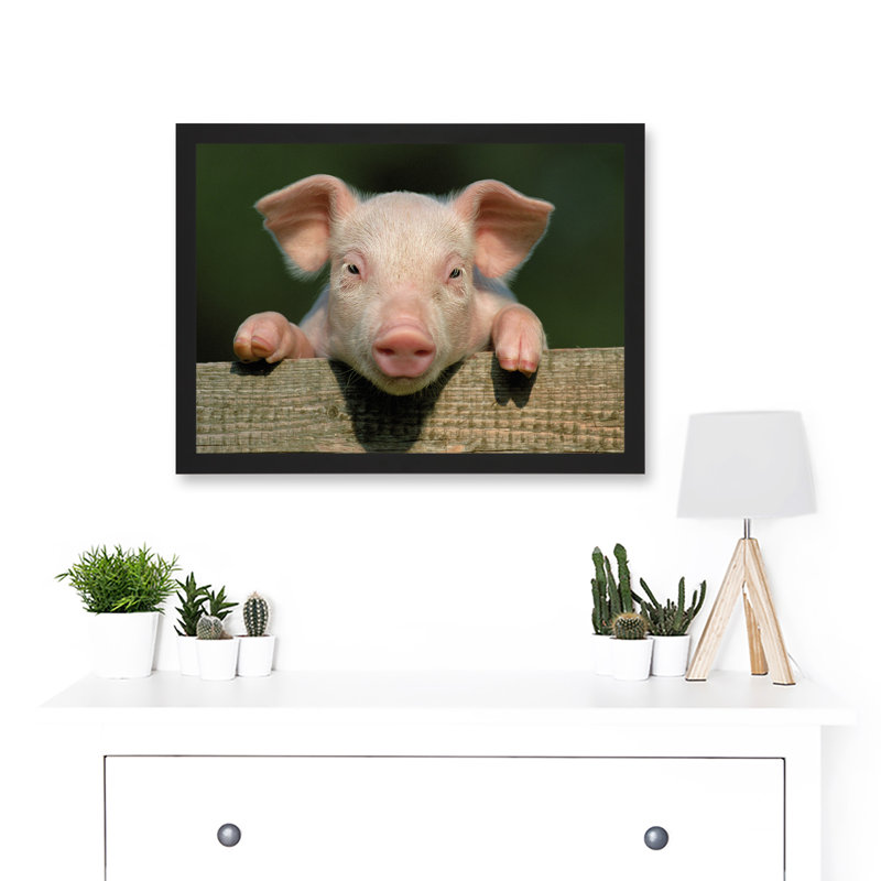 Pig Piglet Cute Farm Pink Baby Babe - Single Picture Frame Print, 13'' x 17.9''