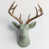 Sage/Bronze
