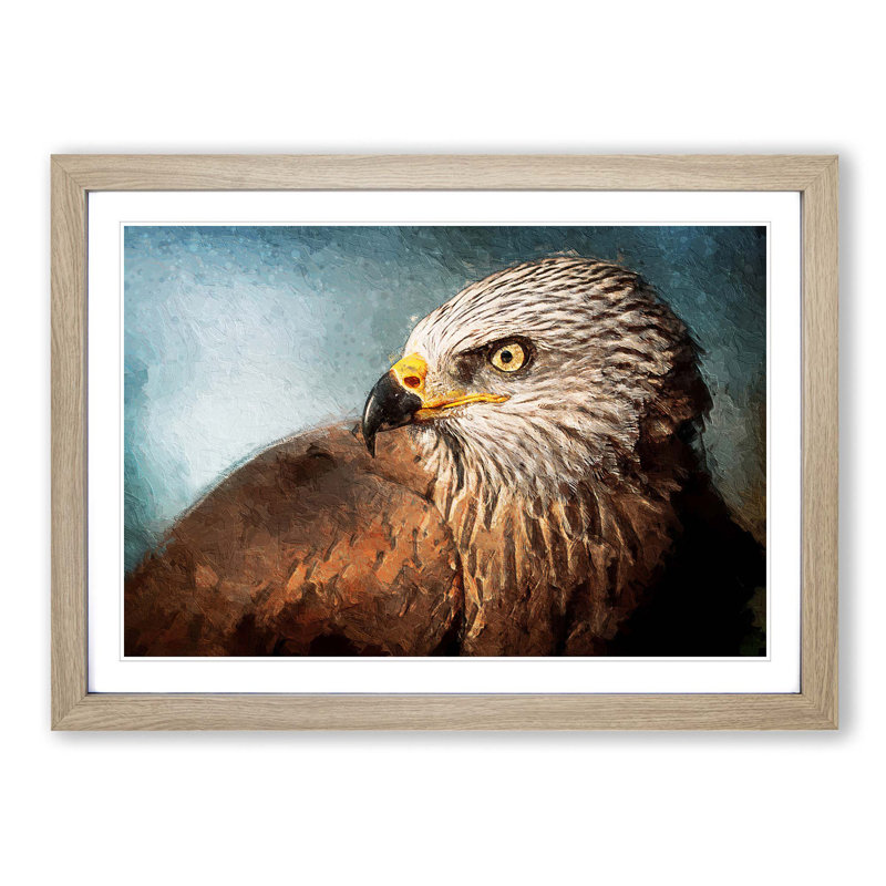 Portrait of a Red Kite Bird - Picture Frame Painting Print on MDF, Oak Framed, 36cm H x 48cm W x 2cm D