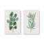 Ensemble d'impressions Green Leaf-395982457-395982453