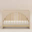 Moab 3-in-1 Convertible Crib-811797797