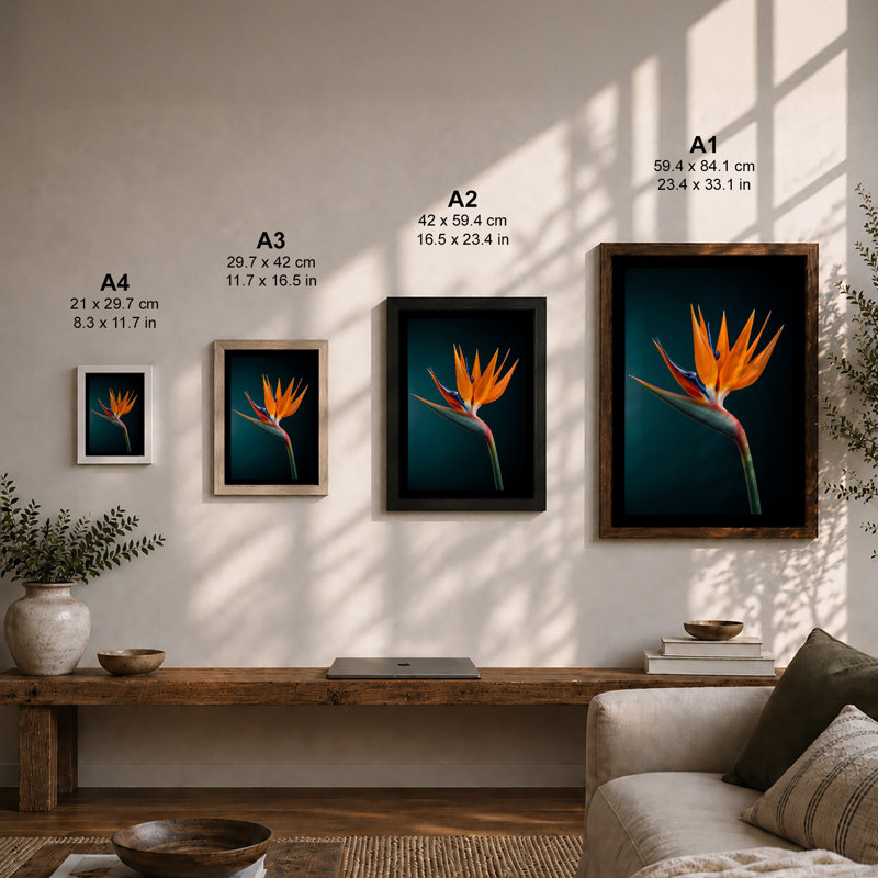 Print, A3 - 42.0 x 29.7 cm, White