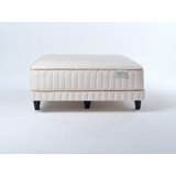 The Oxford 2.0 Plush- 13" Organic