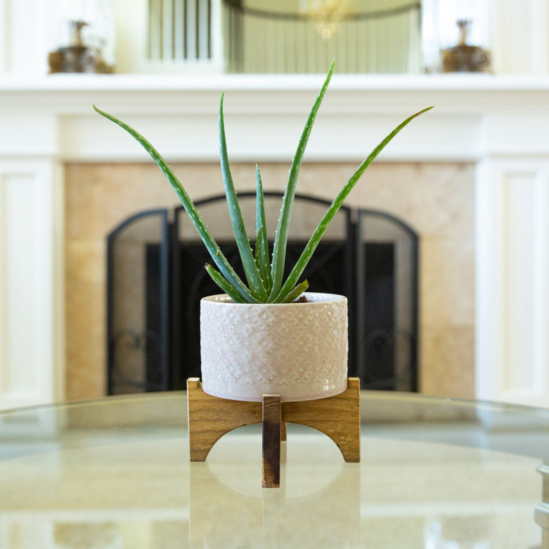 Holman Ceramic Pot Planter, Glass Pink