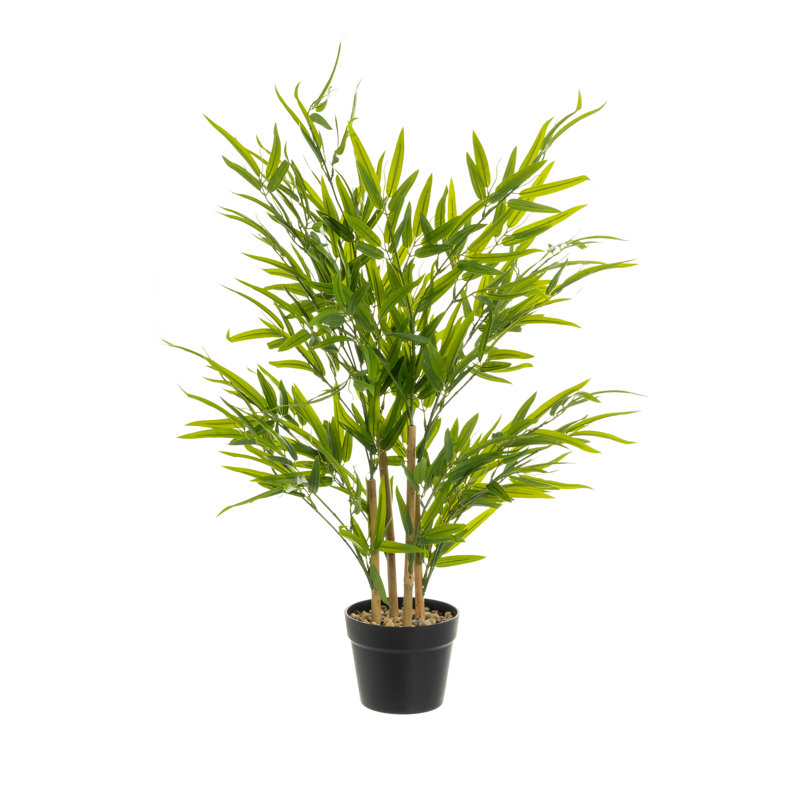 Faux Bamboo Tree in Pot, 147cm H 75cm W x 75cm D