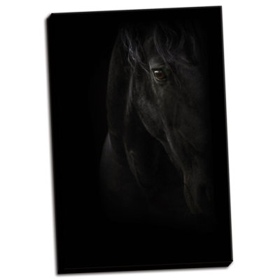 « black perle », impression