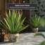Satsuma Porcelain Fishbowl Urns & Jars-1123608940