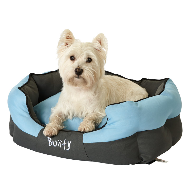 Levesque Polyester Pet Bed, Blue, 25cm H x 60cm W x 50cm D