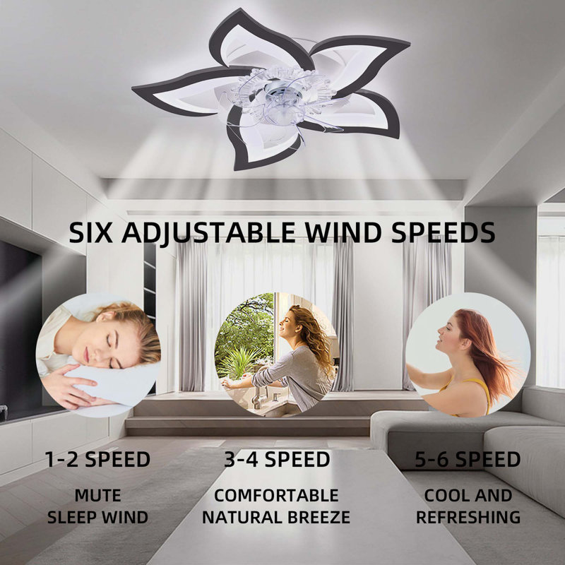 Ventilateur de plafond 14 po Ehme, Noir