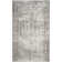 Fallsburg Performance Oriental Rug