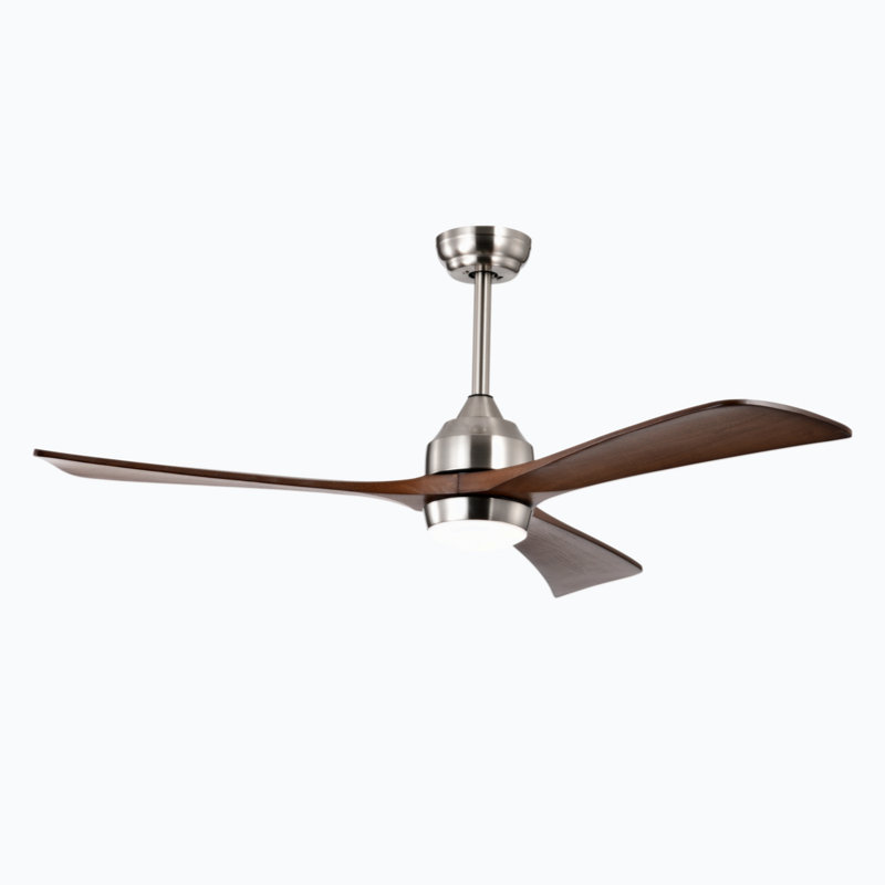 Kamrie 18.1'' Ceiling Fan with LED Lights