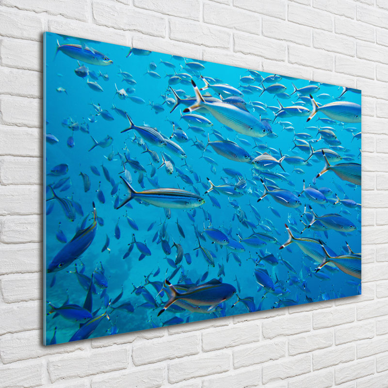 Coral Fish - Unframed Art Prints on Glass