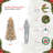 Lighted Christmas Tree-815363162