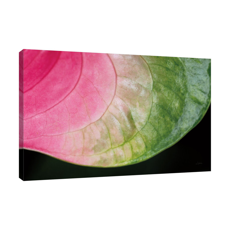 "Rose et vert", toile tendue par Aledanda, H 12 po x l 18 po x P 1,5 po