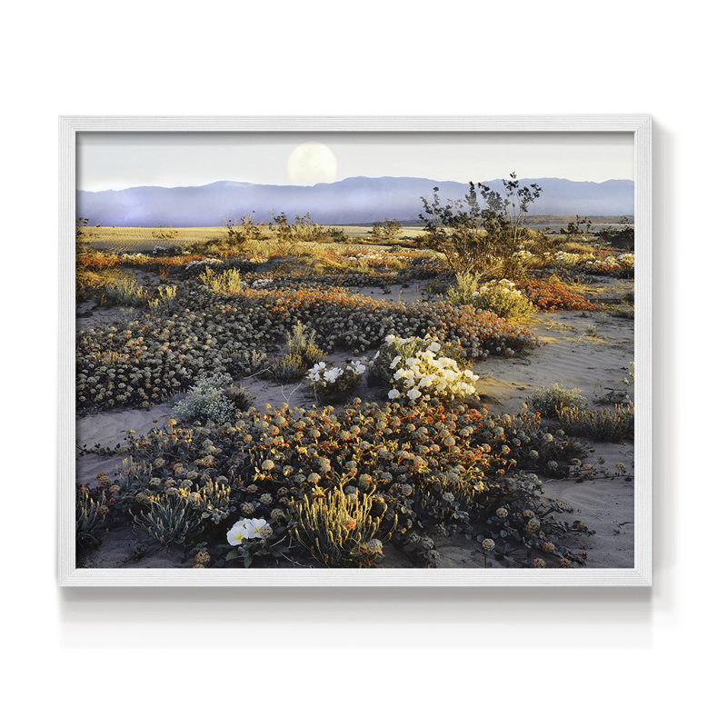 Anza Borrego - impression encadrée - réaménageable, H 16 po x l 20 po, Blanc