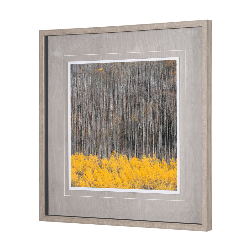 «Aspen Trees» par Jamie Cook a, reproduction d'art encadrée texturée matte sous verre, Aspen 4