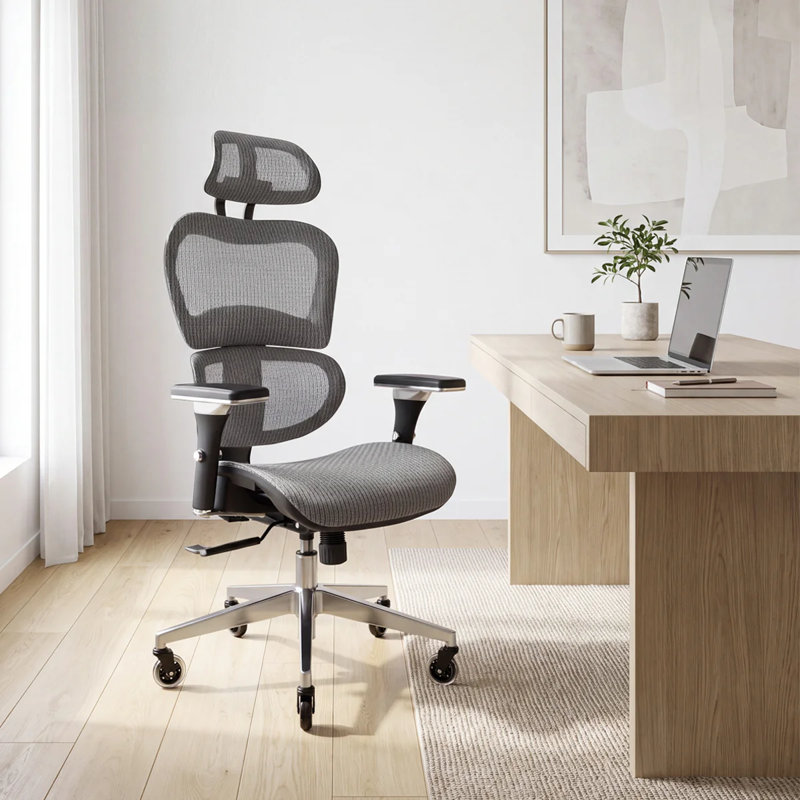 Chaise de bureau ergonomique Nouhaus Ergo3D, Gris