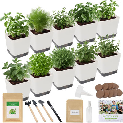 10-Set Indoor Herb Starter Kit with 7 Herb Seeds, Plant Nutrients & Gardening Tools, Non-GMO Heirloom Seed Starter Grow Kit for Beginners