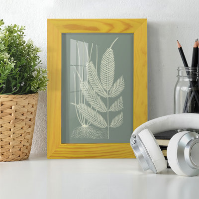 Ferns On Sage II, reproduction d'art encadrée