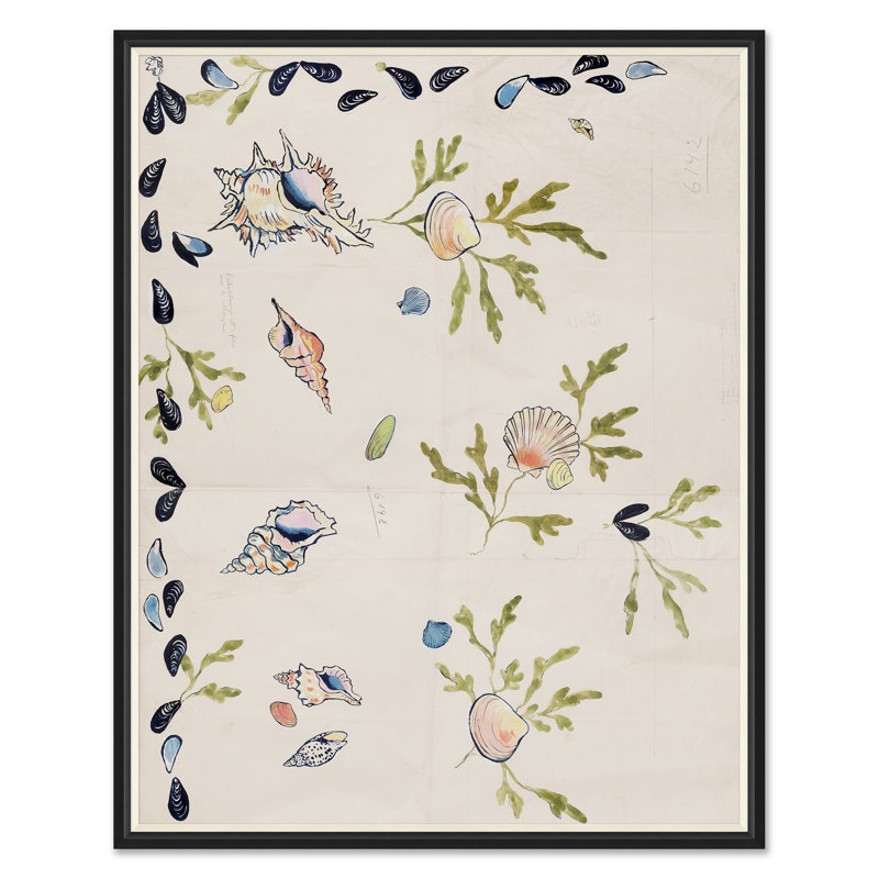 Shell 2 Print by Paule Marrot, Black Framed, 54" H x 43" W x 1.25" D