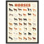 Affiche mondiale de Global Horse Breeds - Guide illustré des variétés de chevaux dans le monde-101376478-101376482