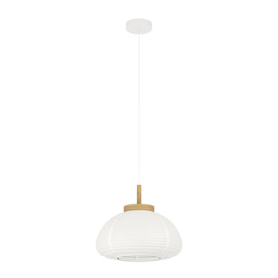 Benedicta 1 - Light Dome Pendant