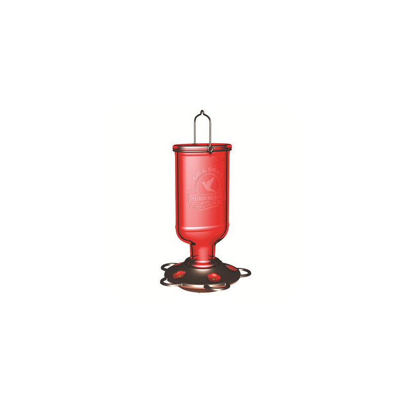 Glass Hanging Hummingbird Feeder