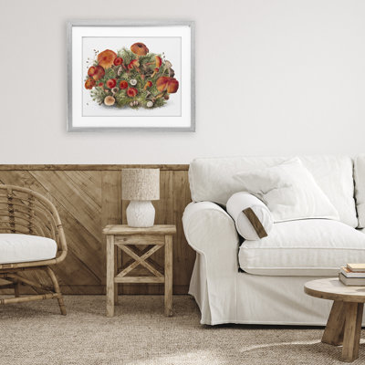 «Earthy Mushroom Caps Nature», reproduction encadrée sous verre