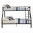 ACME Caius Bunk Bed (Twin XL/Queen), Gunmetal