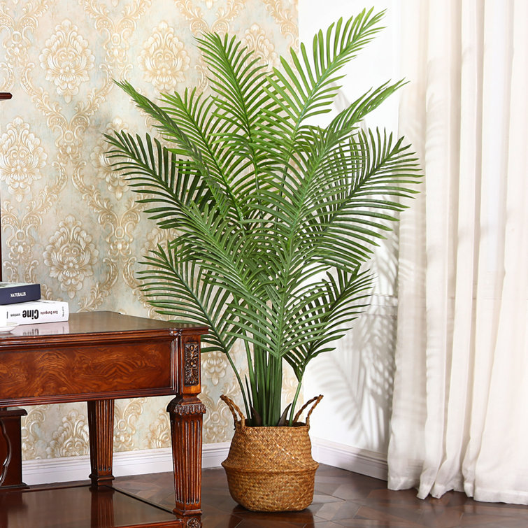 https://assets.wfcdn.com/im/87711541/resize-h755-w755%5Ecompr-r85/2065/206501879/Adcock+Faux+Palm+Plant+in+Rattan+Basket.jpg