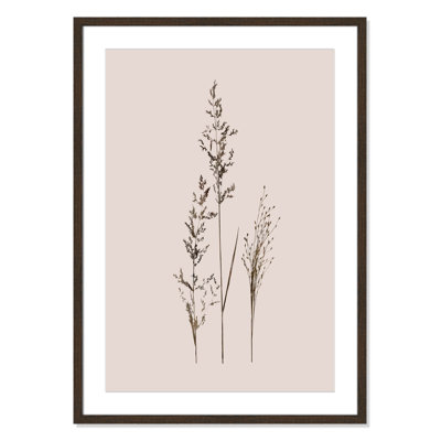 Delicate Stems I by Carol Robinson - Single Picture Frame Print -  Birch Lane™, D7D9095FAAF7476D8520E6D06C2DDBF7