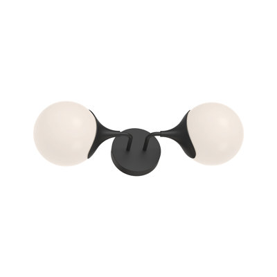 Nedra 2 Light Vanity Light