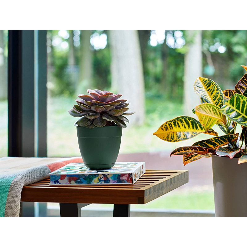 Dayton Traditional Recycled Plastic Indoor/Outdoor Planter with Attached Saucer, Turtle Green, 5.75" H x 6" W x 6" D