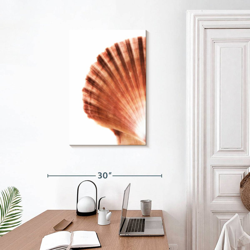 Aletra Scallop Seashell II, 30" H x 20" W