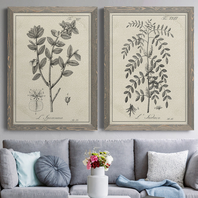Antique botanique noir et blanc antique - ensemble de 2 reproductions d'art, H 31,5 po x l 47 po x P 1,5 po, Pas de tapis