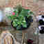 Photos des clients 2 de 4