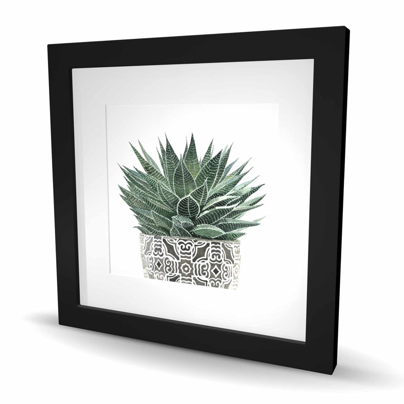 «Zebra Plant Succulent - Scandinavian Floral», reproduction encadrée, H 16 po x l 16 po, Noir
