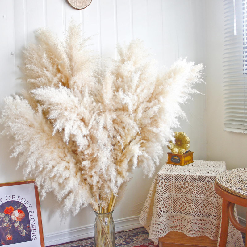 10 pièces de 40 po de hauteur herbe de pampas - Pompas floral