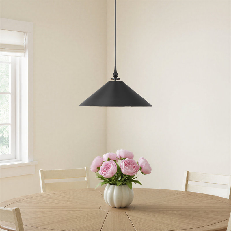 LeeRoy 1 - Light Single Pendant, Aged Iron