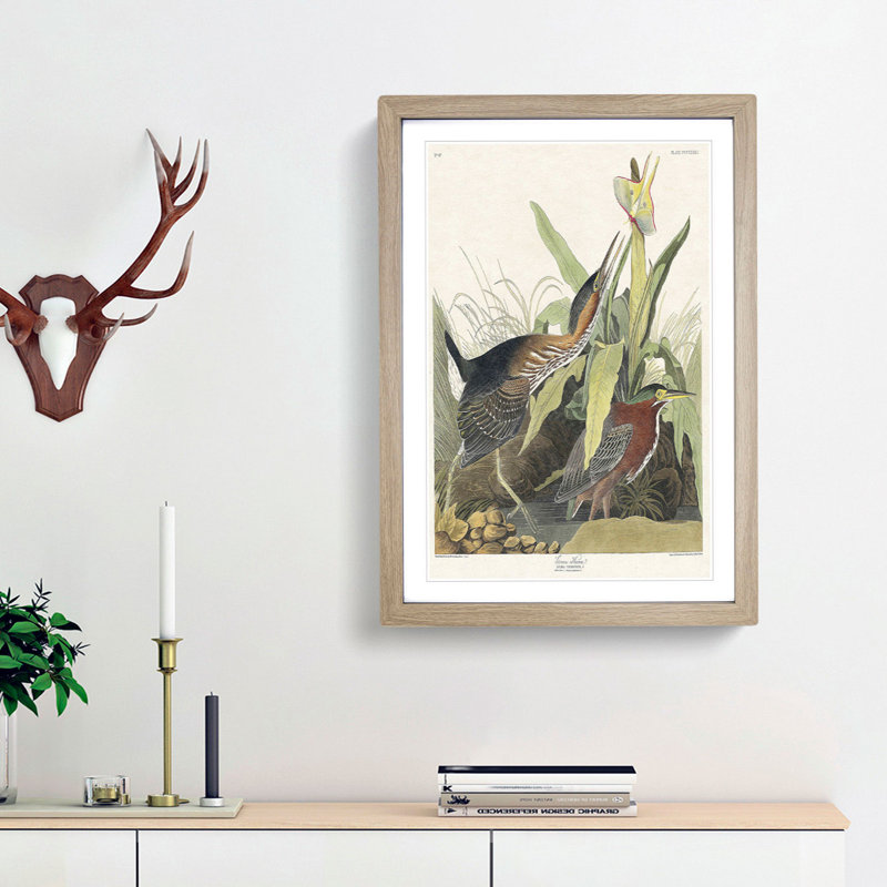 Green Heron by John Audubon - Picture Frame Painting Print, Oak Framed, 48cm H x 36cm W x 2cm D