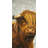 Highland Cattle Print On Canvas