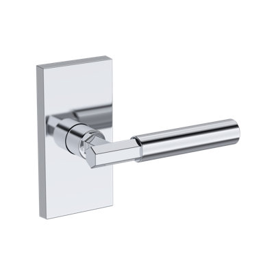 Riddling Full Dummy Lever with Contemporary 5in Rose in Lifetime (PVD) Polished Nickel