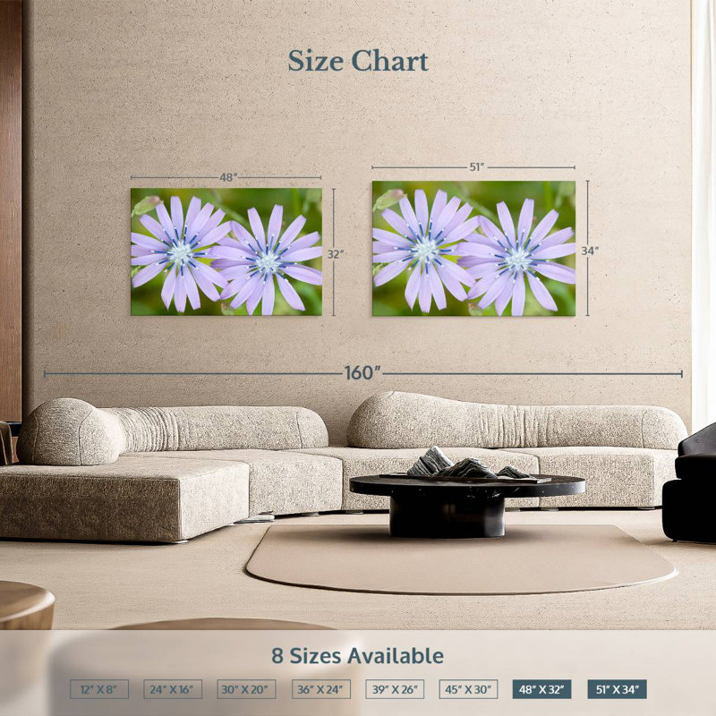 Harnek Radiant Chicory Flowers, 24" H x 36" W