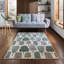 Scion Floral Digitally Printed 152cm X 152cm Area Rug-345014881-345014882