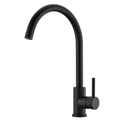 RAEN Cosmos Kitchen Faucet Side Spray