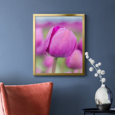 Magenta Stem Premium Framed Canvas - Ready to Hang