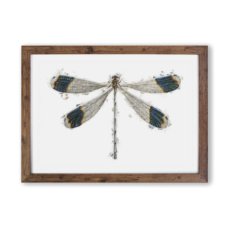 Blue-Tipped Dragonfly - Single Picture Frame Painting, 45cm H x 63cm W x 2cm D, Walnut