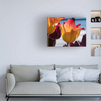 Œuvre sur toile «bol enchanteresse» par Suzanne Bonin