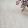 Nourison Care Free Light Grey Modern Indoor Rug